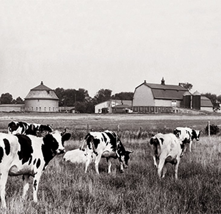 Vivre à l'Île-des-soeurs